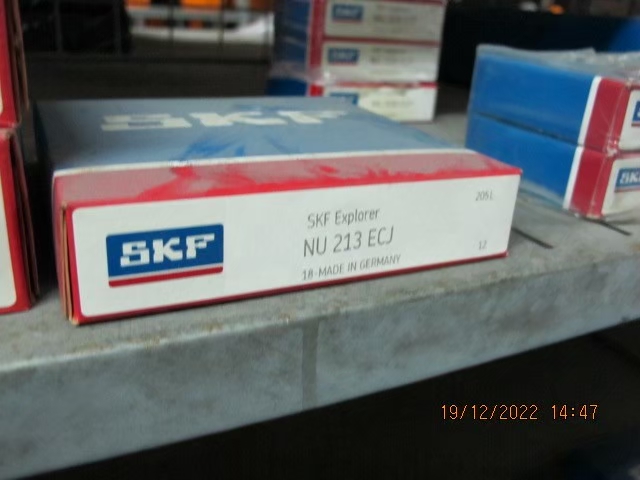 SKF Photo 132